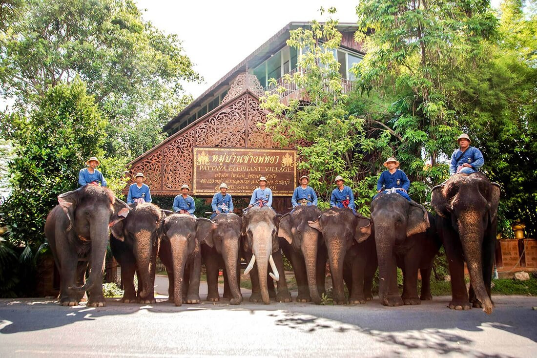 HÀ NỘI – CHIANG MAI – CHIANG RAI - HÀ NỘI 4N3D