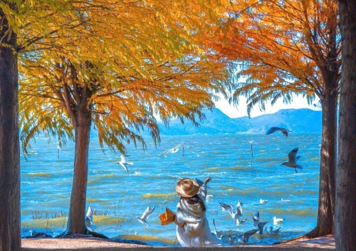 HÀ NỘI - ĐẠI LÝ - LỆ GIANG – CÔN MINH 5 NGÀY 5 ĐÊM 