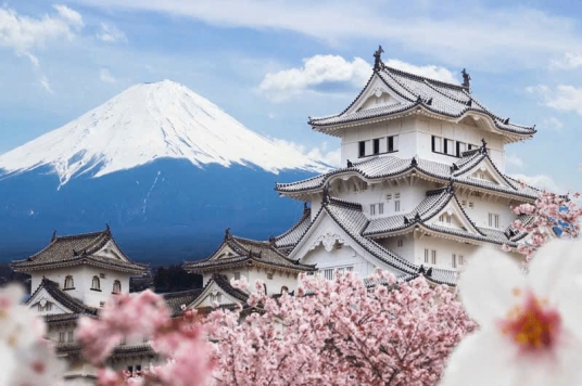 NAGOYA – NARA – OSAKA – KYOTO – NÚI PHÚ SĨ – TOKYO 